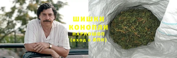 МДПВ Каменногорск