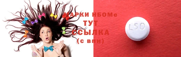 винт Инсар
