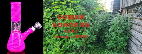 МДПВ Каменногорск